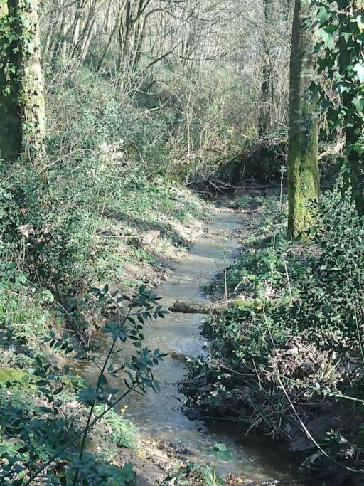 Location Meublee Au Milieu D'Un Ecrin De Verdure Aux Vieux Fours Noaillac Εξωτερικό φωτογραφία
